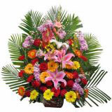 ʻٵ